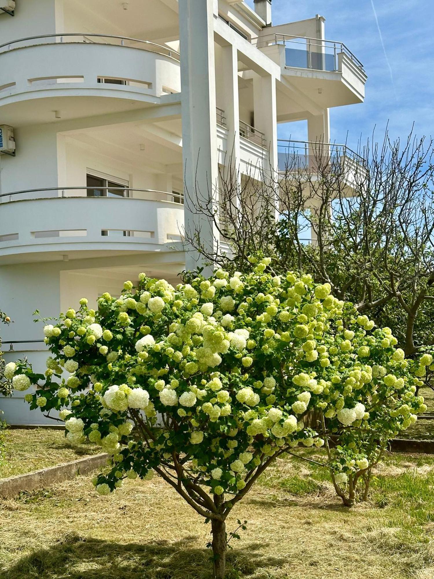 Le Domaine Green Paradise ウルツィニ エクステリア 写真