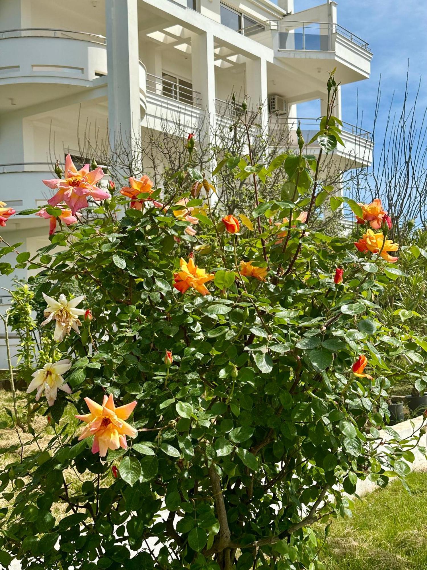 Le Domaine Green Paradise ウルツィニ エクステリア 写真
